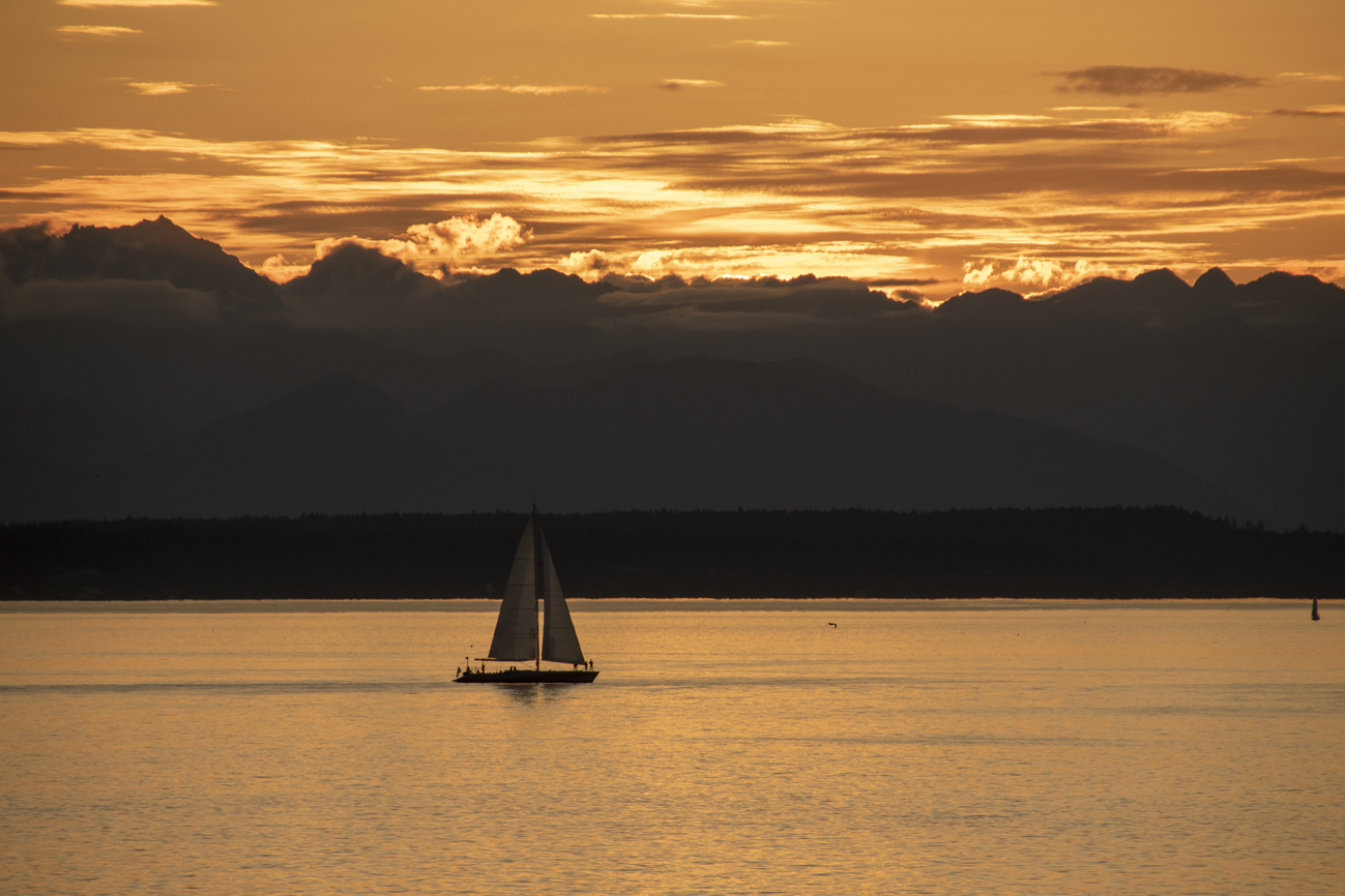 Shannon Hull Photography